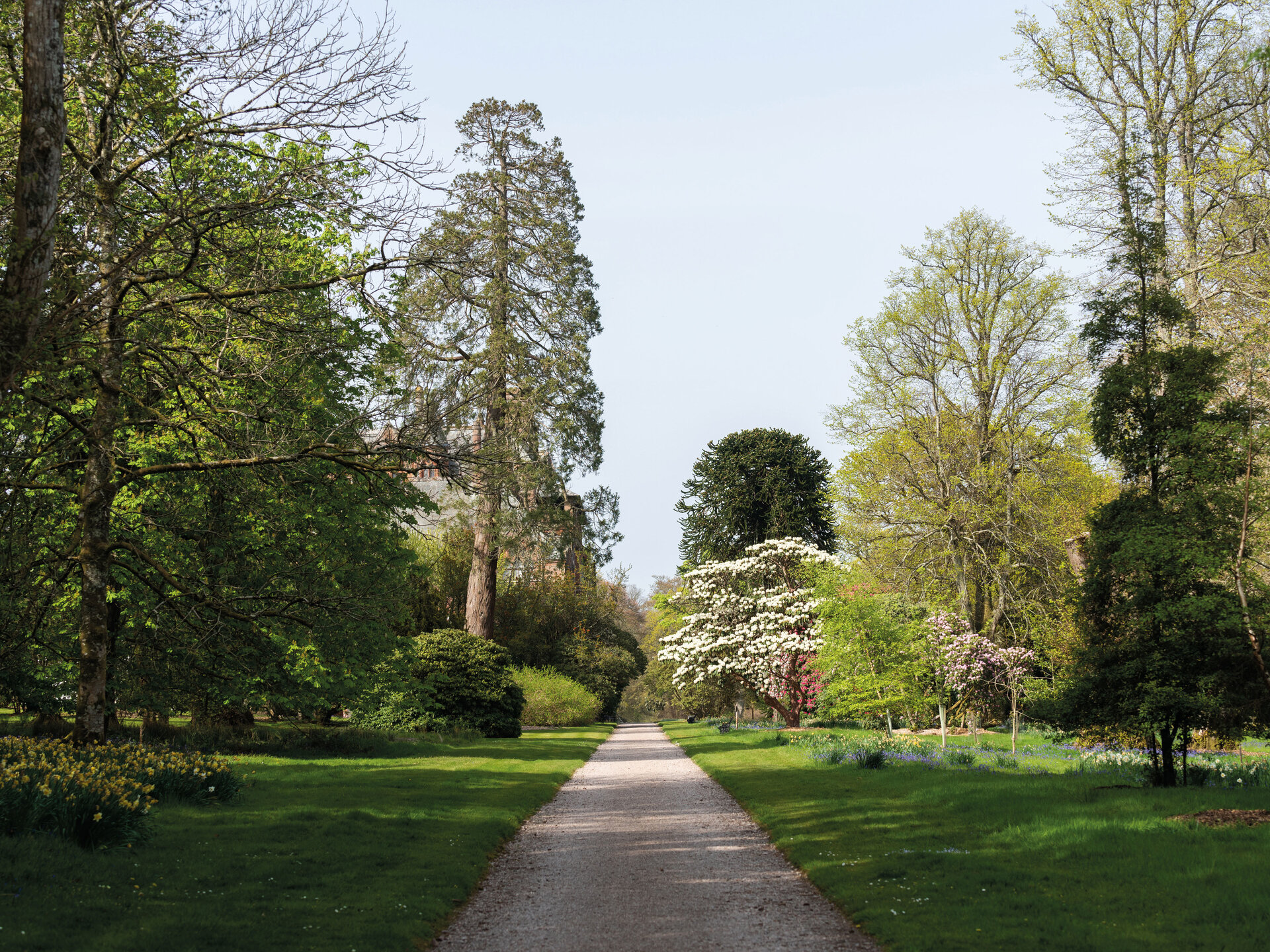 A garden path with trees on either side.