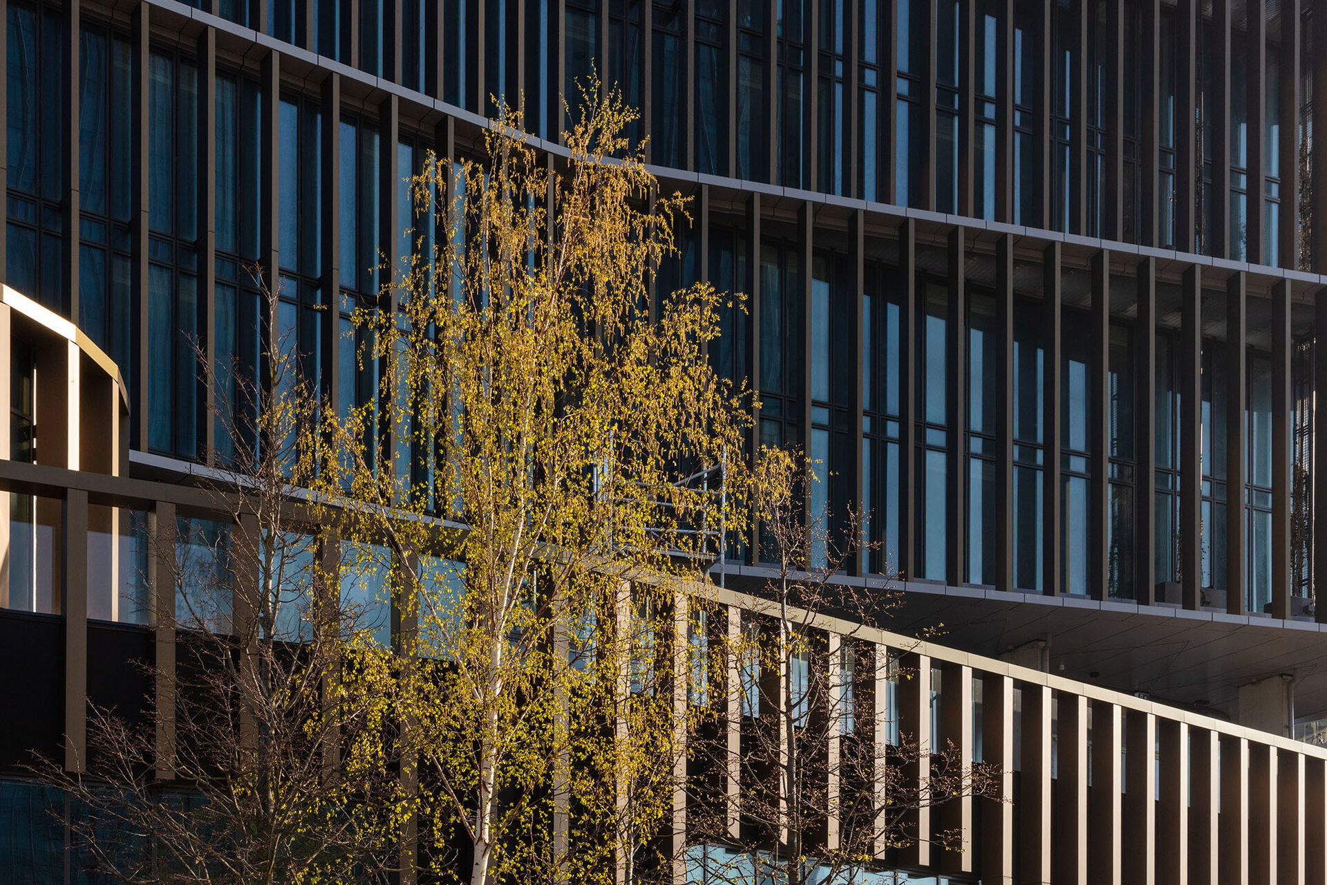 21042021 The Gantry125 Edit