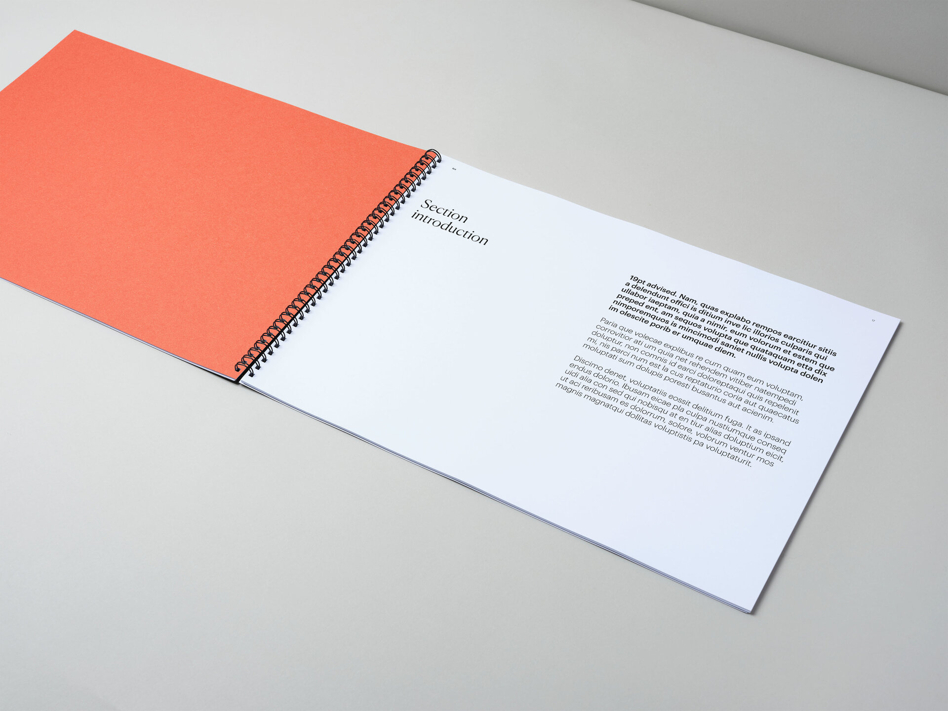 S Castillo Graphical House ICA A3 Spread 2