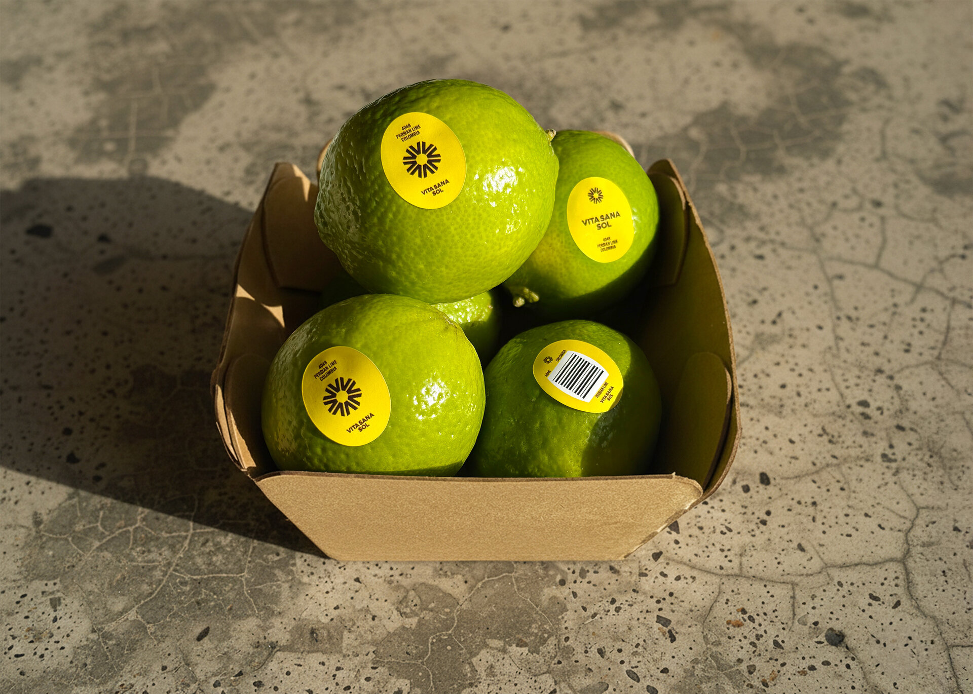 VSS Limes Landscape
