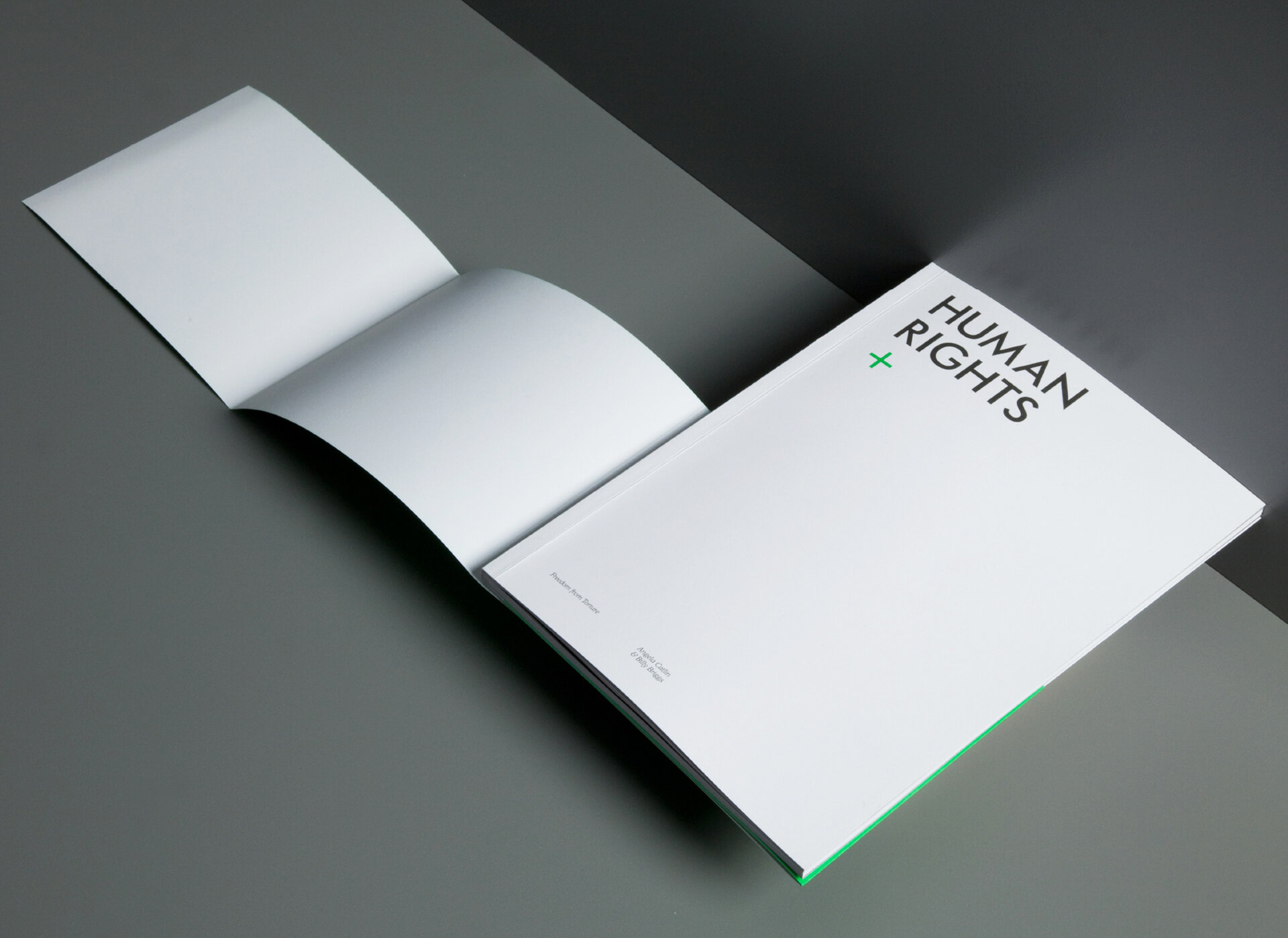 Print. Publication. Cover and dust jacket