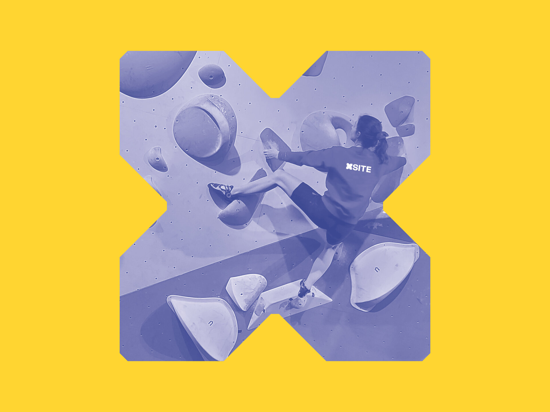 Xsite Assets climb blue